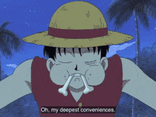 My Deepest Condolences Luffy GIF - My Deepest Condolences Luffy One Piece GIFs