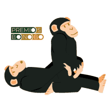 bonobo bonobos mono premiosbonobo monos
