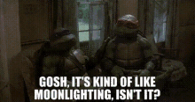 Tmnt Donatello GIF - Tmnt Donatello Gosh Its Kind Of Like Moonlighting Isnt It GIFs