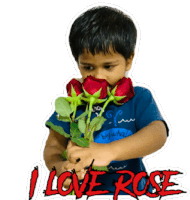 Uduvillage Family I Love Rose Sticker - Uduvillage Family I Love Rose Flower Stickers
