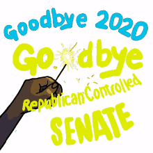 goodbye2020 2021 goodbye republican controlled senate flip the senate georgia