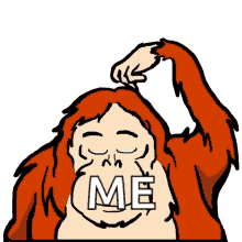 Orangutan Confused GIF