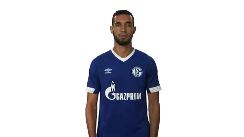S04 Schalke Sticker - S04 Schalke Schalke04 Stickers