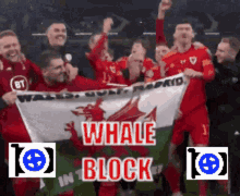 Whale Block Flexpool GIF - Whale Block Flexpool Ethereum GIFs