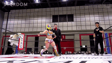 starlight kid slk starlight kid slk