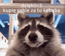 Raccoon Kebab GIF - Raccoon Kebab Szop GIFs