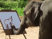 Elephant Paints Self Portrait GIF - Elephant Paint Smart GIFs
