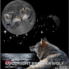 Wolfs And Moon Wolf GIF