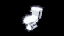 Polish Toilet GIF - Polish Toilet Shining GIFs