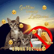 Smiley Buona Fortuna GIF - Smiley Buona Fortuna Cat GIFs