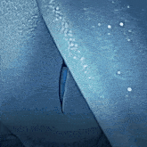 a blue object with a hole in it