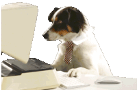 Dog Office Sticker - Dog Office Office Dog Stickers