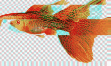 a painting of a fish on a checkered background with a red eye