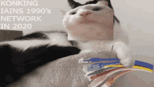 a picture of a cat holding a bunch of ethernet cables with konking iains 1990 's network in 2020