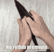 Rythm Premium GIF - Rythm Premium No GIFs
