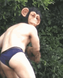 look back monkey mask monkey busted blake webber