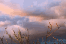 Nature Aesthetic GIF - Nature Aesthetic Clouds GIFs