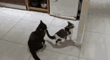 two cats are standing next to each other on a tiled floor .