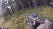 GIF