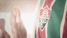 Fluminense Tricolor GIF