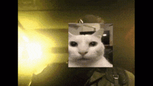 Metal Gear Cat GIF - Metal Gear Cat Edgy GIFs