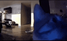 a cat 's head is visible in a living room
