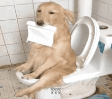 Dog Toilet GIF - Dog Toilet On The Toilet GIFs