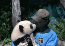 熊貓 親親 受不了 好了 夠了 停止 耍萌 愛的表現 GIF - Panda Kissing Enough GIFs