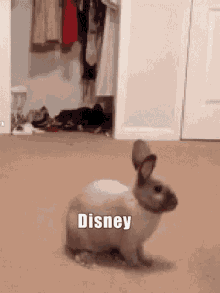 Disney Kaninchen GIF - Disney Kaninchen Lapin GIFs