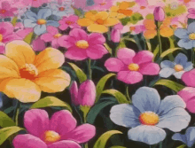 Flowers Anime GIF