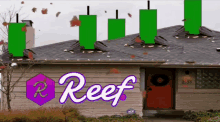 Reef Reefdefi GIF