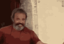 a man with a beard and a red shirt is standing in front of a wall .