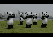 Club Can'T Even Handle Me Right Now  GIF - Panda Dance Dancing GIFs