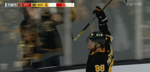 Boston Bruins David Pastrnak GIF - Boston Bruins David Pastrnak Bruins Goal  - Discover & Share GIFs