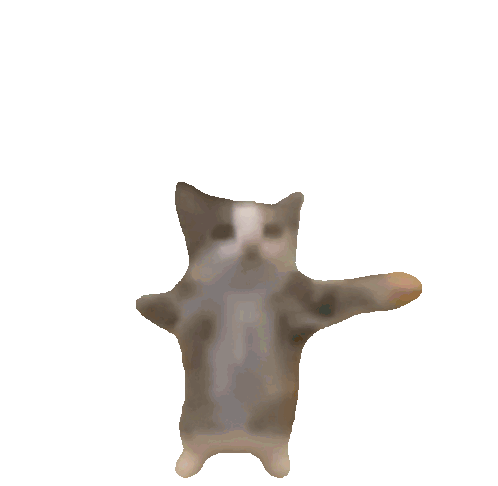 Gato Sticker Gato Discover Share GIFs