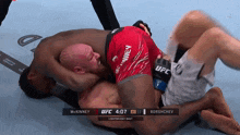 a ufc fight between mckinney and borschev