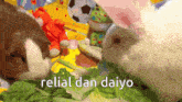 two guinea pigs are eating lettuce with the words relial dan daiyo in the corner