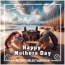 a crab on a beach with the words happy mothers day