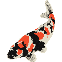 a black white and red fish is surrounded by blue circles on a white background