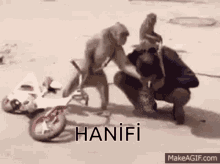 Hanifi Maymun GIF - Hanifi Maymun Monkey GIFs