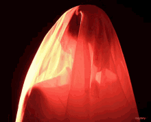 a red cloth is covering a person 's face and the photo was taken by suzygray