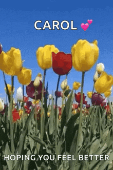 Flowers Windy GIF - Flowers Windy Tulips GIFs