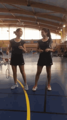 Badminton Wambrechiesmarquette GIF