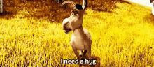 Hug Donkey GIF - Hug Donkey Shrek GIFs