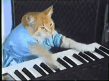 Piano Cat GIF - Piano Cat GIFs