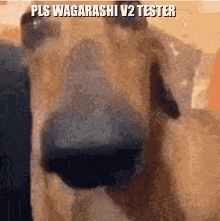 Wagarashi GIF - Wagarashi GIFs