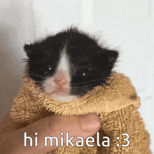 Mikaela Hi Mikaela GIF - Mikaela Hi Mikaela Meow GIFs