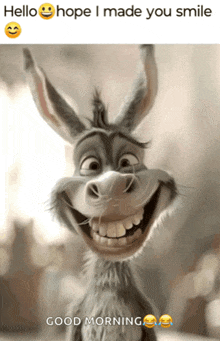 a picture of a donkey smiling with the words hello hope i made you smile good morning