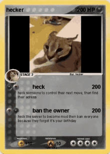 Hecker Card GIF - Hecker Card GIFs