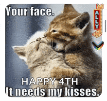 two kittens are hugging each other and kissing each other on the face .